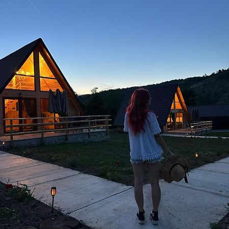La Poalele Vulcanilor Densus Exteriér fotografie